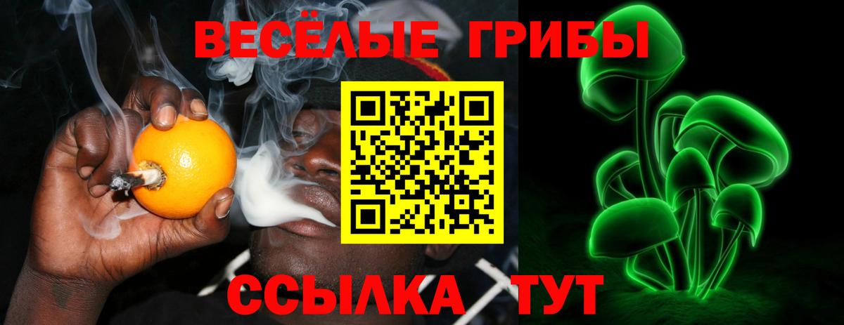 Псилоцибиновые грибы мицелий  Псилоцибиновые грибы прущие грибы  Вход с VPN  Когалым 