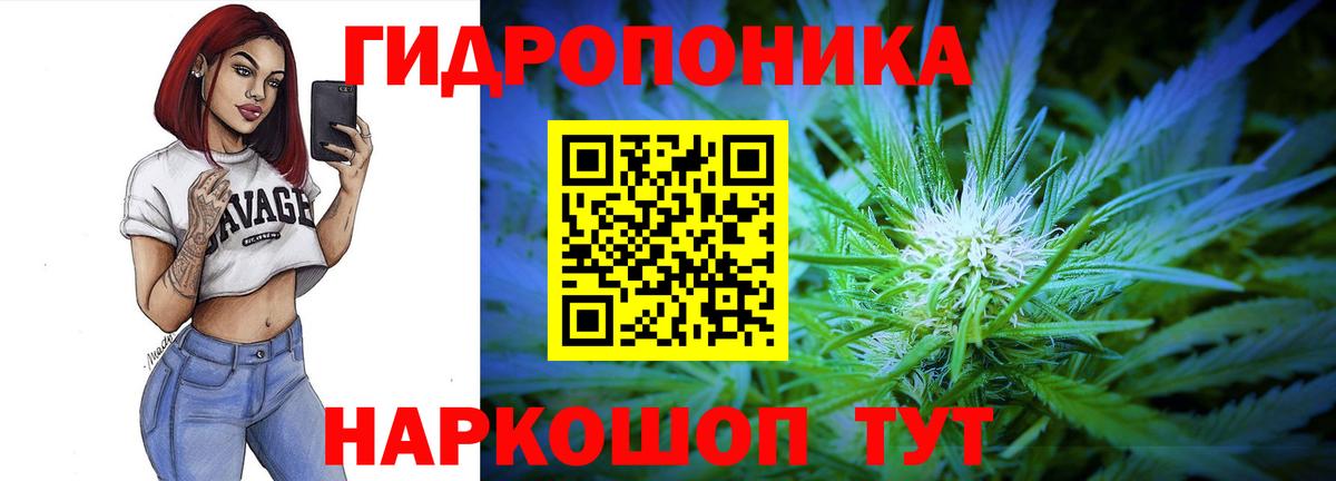 Конопля сатива  Канабис Bruce Banner  Когалым  Вход с VPN  Бошки марихуана ГИДРОПОН 